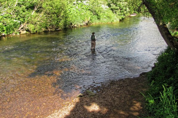 Shallow river with reddish bottom