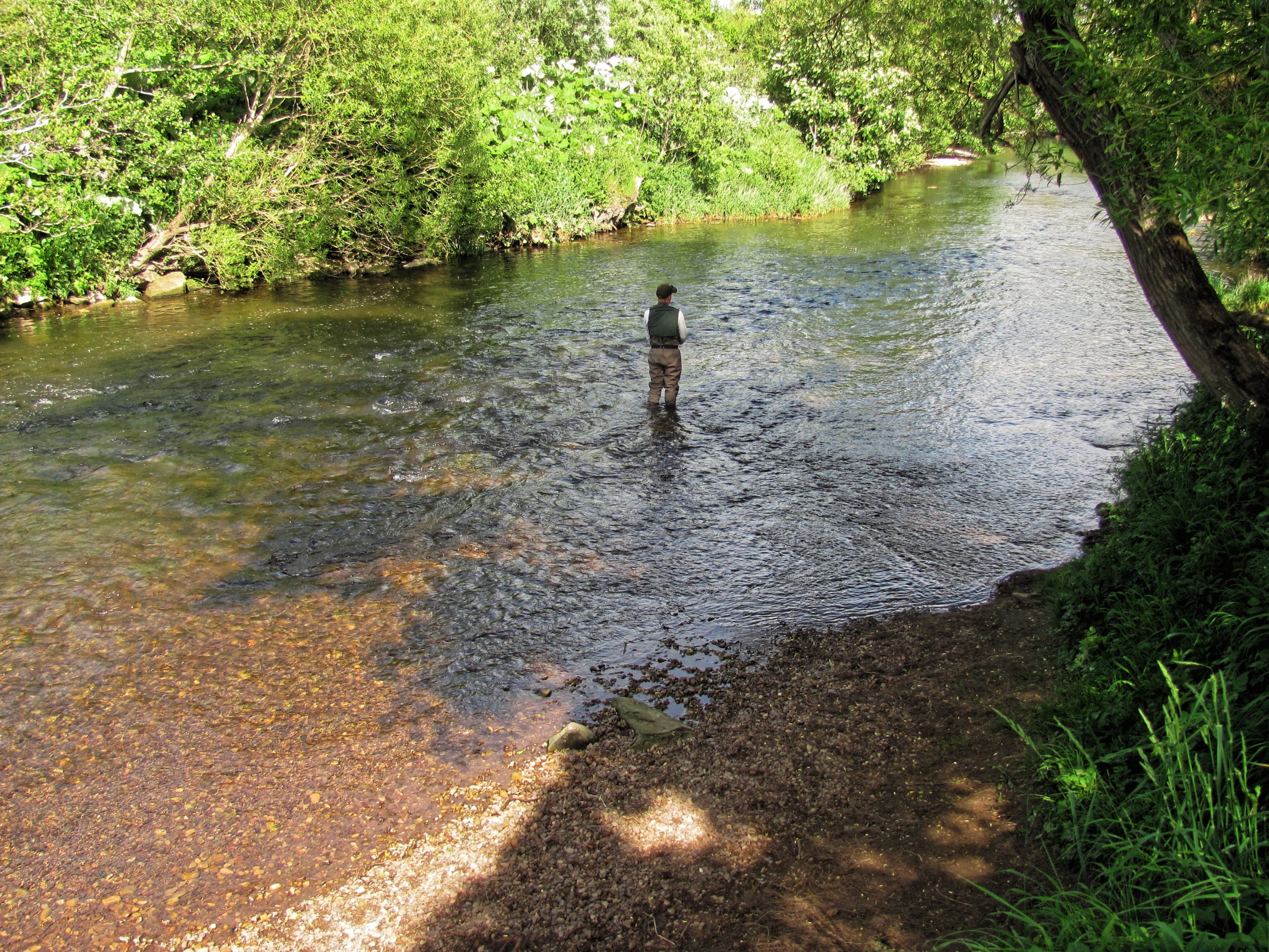 Shallow river with reddish bottom