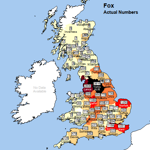 Map of Britain, with title "Fox: actual numbers". Most counties in England, Scotland and Wles have some shading. The West Riding of Yorkshire is shaded black and Lancashire is deep red. Kent, Surrey, Norfolk and Staffordshire are shaded red. Several other counties in the English Midlands as well as Durham and Gloucestershire are vivid orange. Other counties have lighter shading.