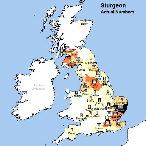 Map of Britain with title 'Sturgeon: actual numbers'. The map shows three clusters. In the south eats of England, Suffolk is shaded black and labelled 379. Nearby, London is shaded mid red and Surrey and Essex are shaded orange. In northern England, the West Riding of Yorkshire is also shaded orange. In south-west Scotland, Lanarkshire, Kirkcudbrightshire and Ayrshire are shaded in orange.
