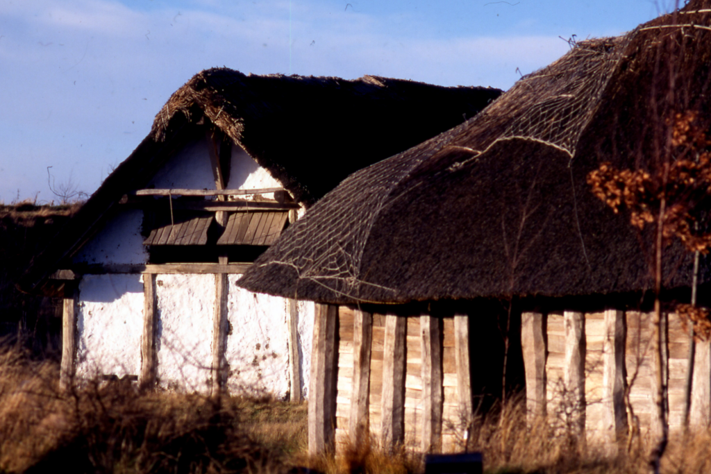 photograph of single-storey timber-built houses with thatched rooves