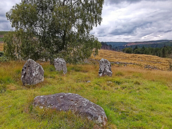Three low standing stones and a fourth on the ground, with background of forested low hills