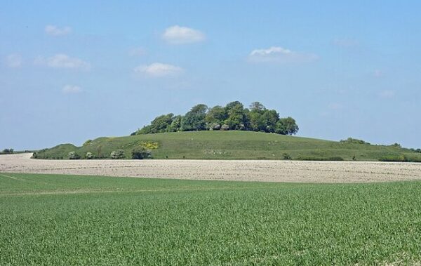Photo of wooded hill